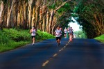 The Kauai Marathon Tree Tunnel